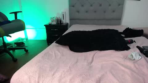 Perla online show from 11-12-25, 06:03