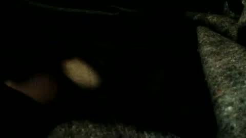 estelarseiya online show from 01-04-25, 03:18