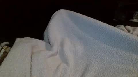 eu369033 online show from 02-25-26, 08:07