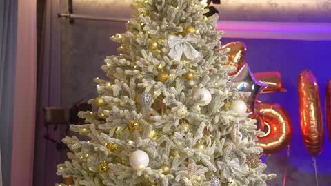 Eva online show from 12-28-24, 06:50