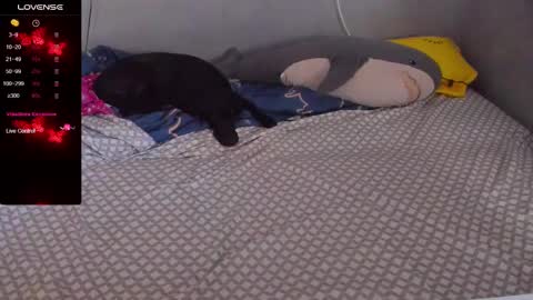 Eva online show from 02-20-25, 12:57