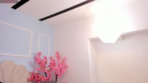 evahalston online show from 01-19-25, 07:37