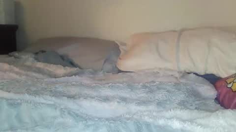 Snapshot of evangeline69xxx chatting on 02-20-26, 06:26 evangeline69xxx online show from 02-20-26, 06:26