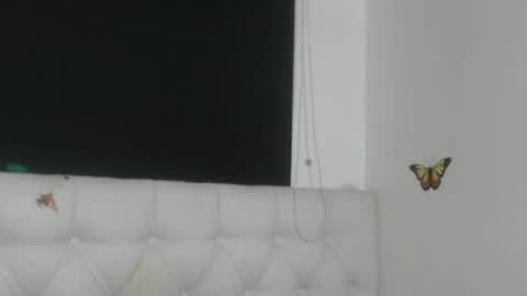 Evelyne online show from 04-06-26, 04:46