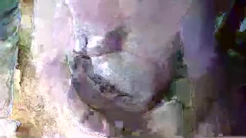 expogent online show from 04-10-26, 07:24