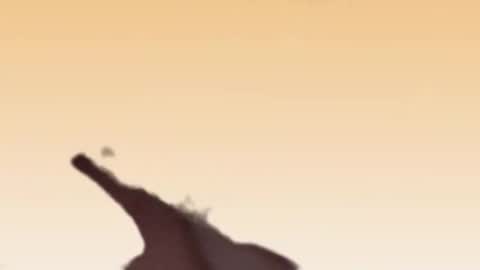 Snapshot of fabinou32 chatting on 11-22-25, 02:49 fabinou32 online show from 11-22-25, 02:49