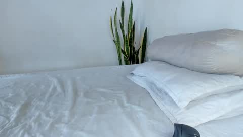 -  A N D E R online show from 11-04-25, 06:29