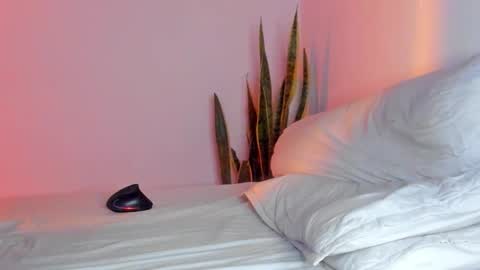 -  A N D E R online show from 11-09-25, 01:59