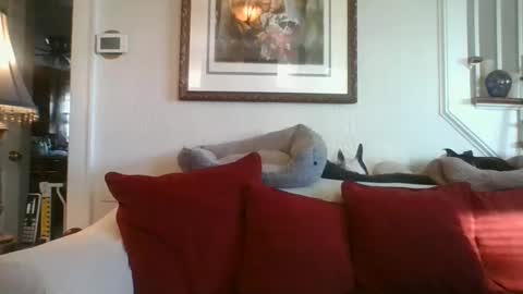 Snapshot of fairmount31 chatting on 01-07-25, 01:46 fairmount31 online show from 01-07-25, 01:46