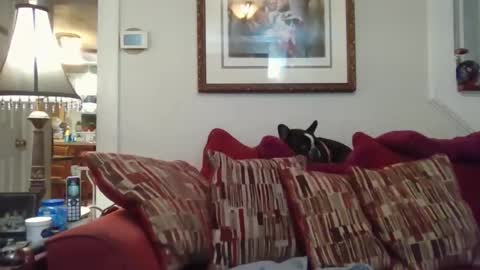 fairmount31 online show from 11-01-25, 10:12