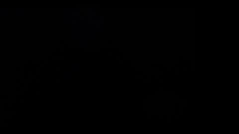 FallGays online show from 12-26-24, 04:32