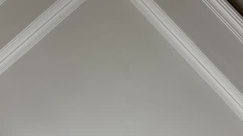 Snapshot of famsea chatting on 11-10-25, 01:48 famsea online show from 11-10-25, 01:48