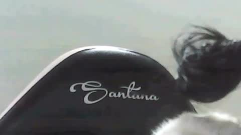 Snapshot of farianna_hot chatting on 05-02-26, 10:26 farianna_hot online show from 05-02-26, 10:26