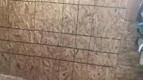 farrisshane1985 online show from 04-07-26, 02:23