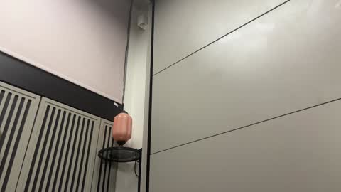 Gattino online show from 12-20-24, 11:37