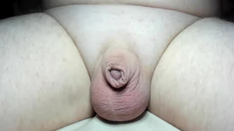 Snapshot of fatmanscock chatting on 12-25-24, 04:12 Fatmanscock online show from 12-25-24, 04:12