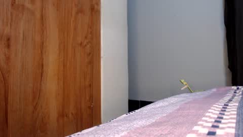 Snapshot of fatpussy_ebony_girl chatting on 07-19-26, 07:56 lexie online show from 07-19-26, 07:56