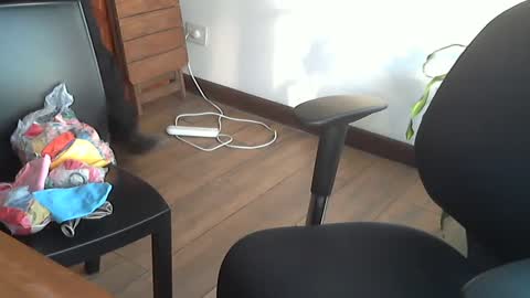 fedeGLOBOS online show from 09-17-25, 09:05