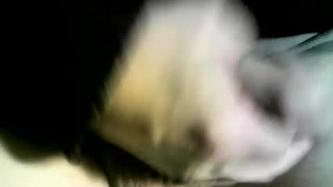 Snapshot of felicaste chatting on 02-09-25, 03:01 felicaste online show from 02-09-25, 03:01