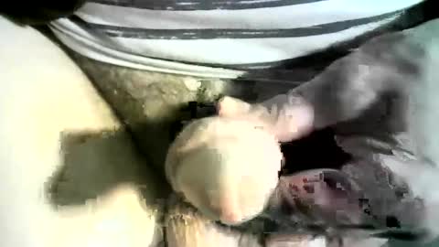 Snapshot of felicaste chatting on 03-08-25, 12:22 felicaste online show from 03-08-25, 12:22