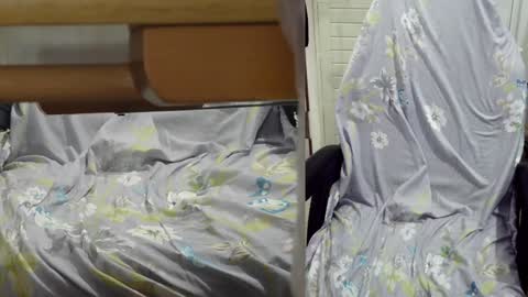 Snapshot of felixlau chatting on 12-23-24, 01:13 felixlau online show from 12-23-24, 01:13