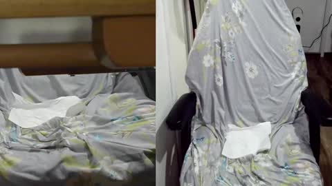 Snapshot of felixlau chatting on 01-22-25, 12:06 felixlau online show from 01-22-25, 12:06