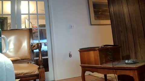 Snapshot of fellatioauto chatting on 02-17-25, 05:36 hungnsexy online show from 02-17-25, 05:36