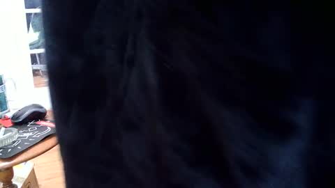 Snapshot of fellatioauto chatting on 03-07-25, 09:59 hungnsexy online show from 03-07-25, 09:59