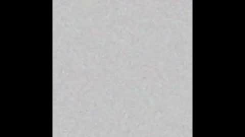 femboyfangs online show from 12-01-25, 04:50