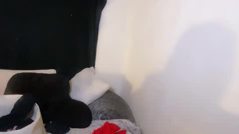 this is justice tricia a bigelow. she was fucking my husband tom girardi online show from 11-02-25, 09:00