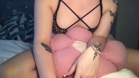     online show from 02-08-26, 08:34