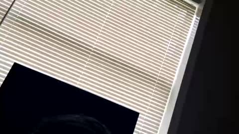 Snapshot of fer28639 chatting on 09-24-25, 06:00 fer28639 online show from 09-24-25, 06:00