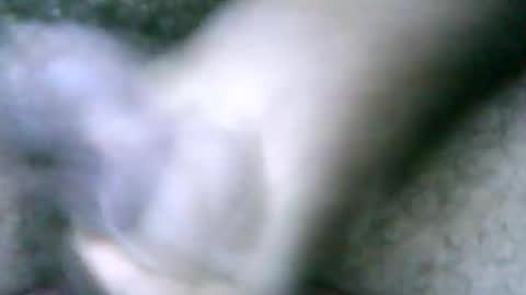 fer_2197 online show from 02-18-25, 02:06