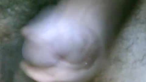 fer_2197 online show from 10-31-25, 01:45