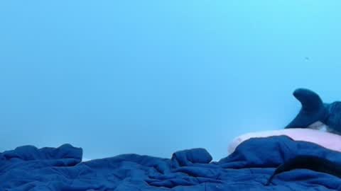 FE fee online show from 02-28-25, 02:09