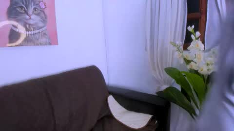 Snapshot of fernanda_brown01 chatting on 11-08-25, 08:29 Fernanda online show from 11-08-25, 08:29