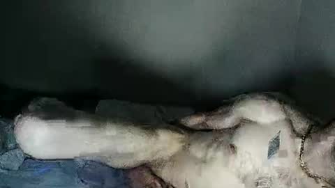 Snapshot of fetishsearch1abdl chatting on 02-27-25, 06:18 fetishsearch1abdl online show from 02-27-25, 06:18