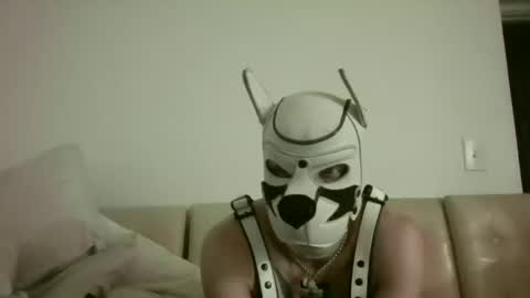 Snapshot of fetishsearch1abdl chatting on 09-25-25, 11:03 fetishsearch1abdl online show from 09-25-25, 11:03