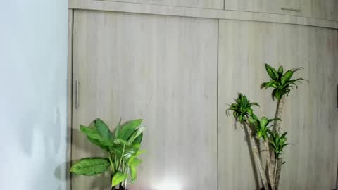 filletatouee online show from 11-10-25, 04:44