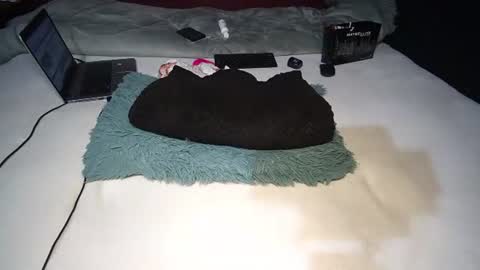 Rania online show from 11-10-25, 08:46