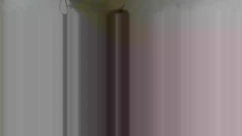 FirstTimeFeak online show from 02-08-26, 04:38