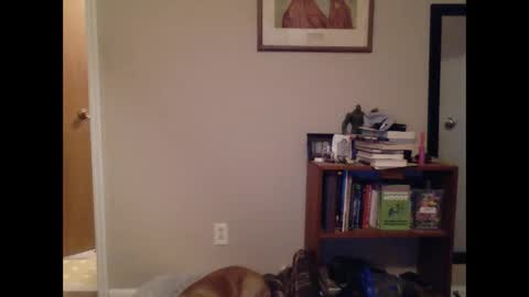 FitBit online show from 03-09-25, 09:46