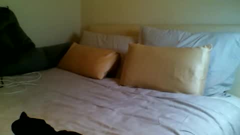 Fitbut online show from 09-15-25, 07:03