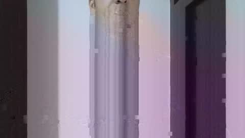 Snapshot of fitchestabs_69 chatting on 04-14-26, 09:43 fitchestabs_69 online show from 04-14-26, 09:43