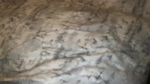 Snapshot of fitcollegestudxx chatting on 02-25-25, 03:42 FitCollegeStudxx online show from 02-25-25, 03:42