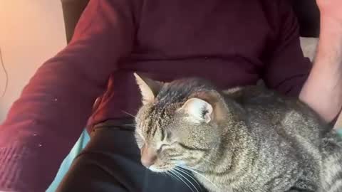 Snapshot of flametwin chatting on 03-04-26, 02:01 firesoul online show from 03-04-26, 02:01