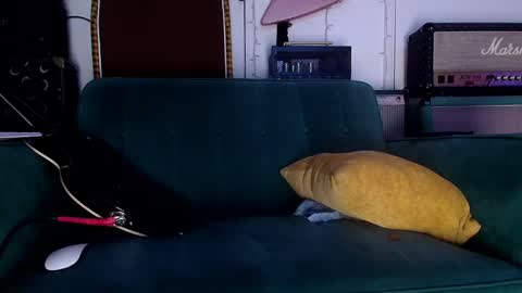 Flannel Dong online show from 05-23-26, 11:36