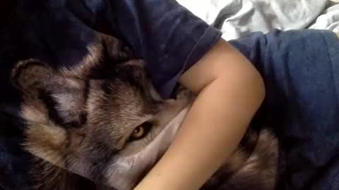 floraexploration online show from 12-22-24, 11:22