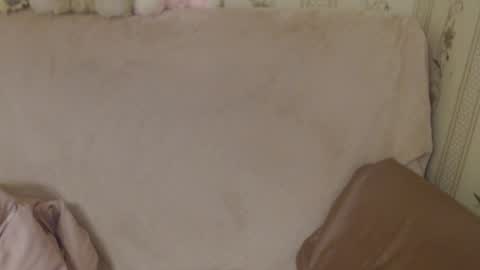 say meow and send tip  online show from 05-18-26, 03:29