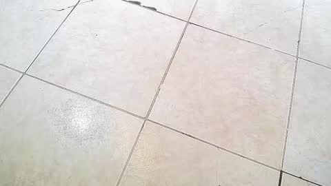 Snapshot of flyckers chatting on 09-13-25, 08:19 flyckers online show from 09-13-25, 08:19